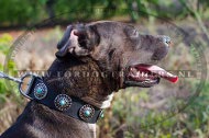 Pitbull hondenhalsband van leer met blauwe stenen | Extra breed