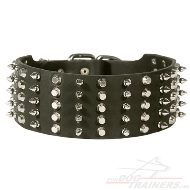 Extra Wijde Hondenhalsband leer met studs