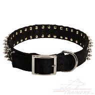 Nylon hondenhalsband met spikes | Halsband van hoge kwaliteit