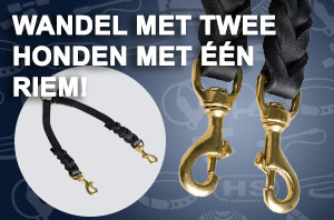 Leren hondenriem voor 2 honden