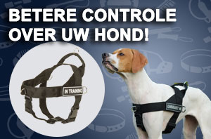 Nylon hond tuig