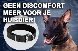 Honden Halsband van Leer