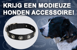 wijde halsband van nylon