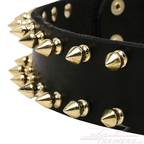 Massieve leren halsband met 2 rijen van spikes