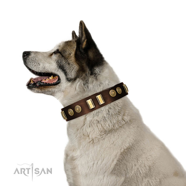 Akita Inu Terrier in bruine lederen hondenhalsband