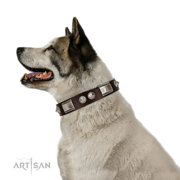 Akita Inu bruine lederen hondenhalsband