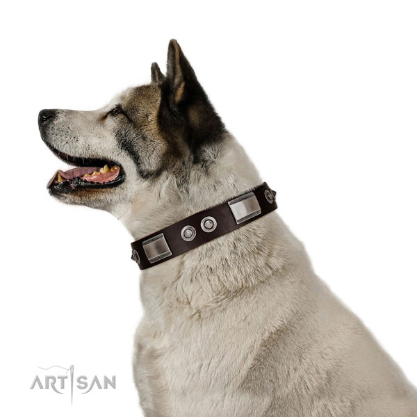 Akita Inu in bruine lederen hondenhalsband