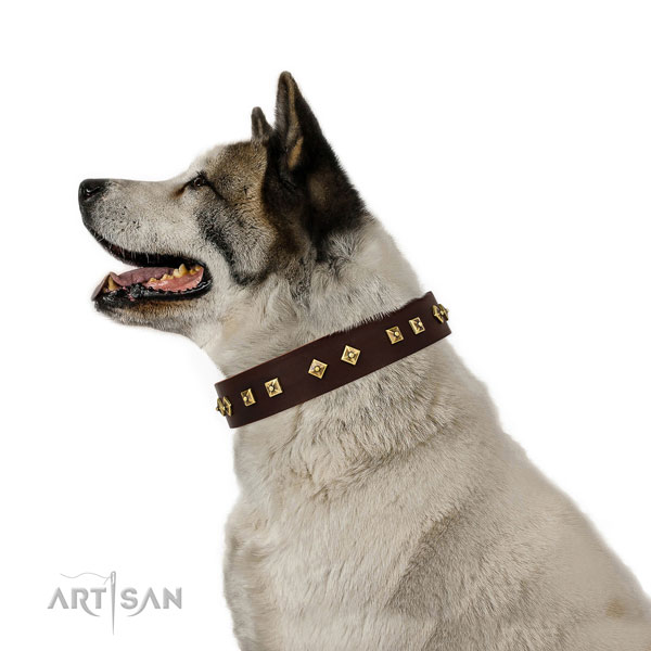 Akita in lederen hondenhalsband