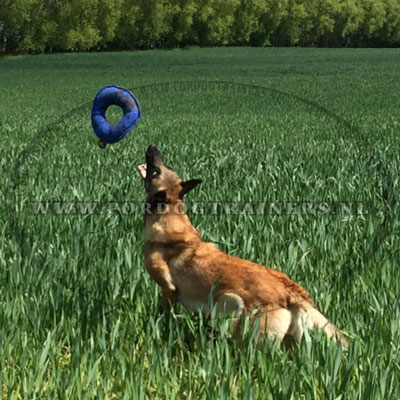 Ons
product op de Hond van de Klant