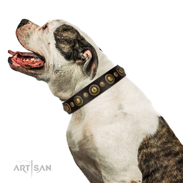 Amerikaanse Bulldog hondenhalsband leer met studs