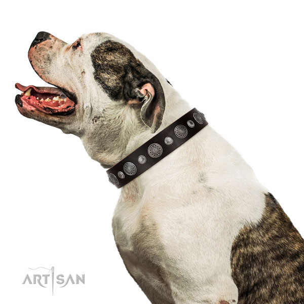 Amerikaanse bulldoghondenhalsband leer met studs