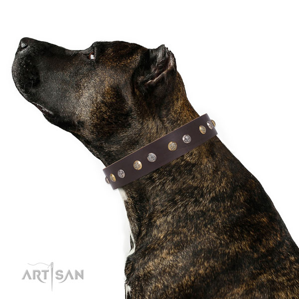 Bruine Lederen hondenhalsband Artisan Collection