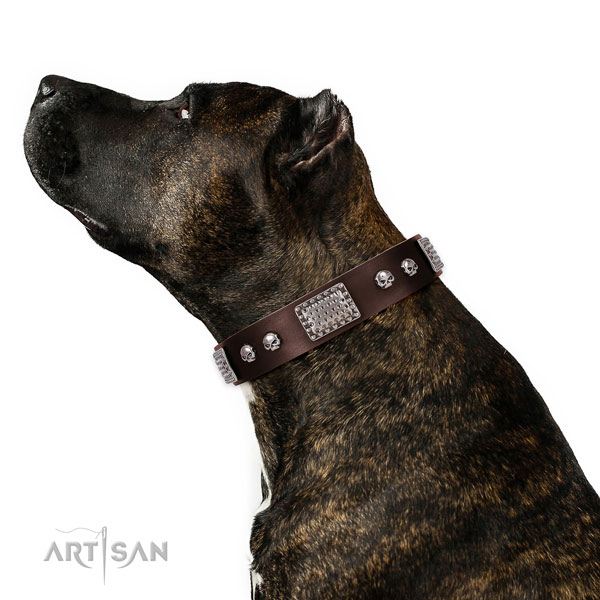 Amstaff hondenhalsband leer met studs