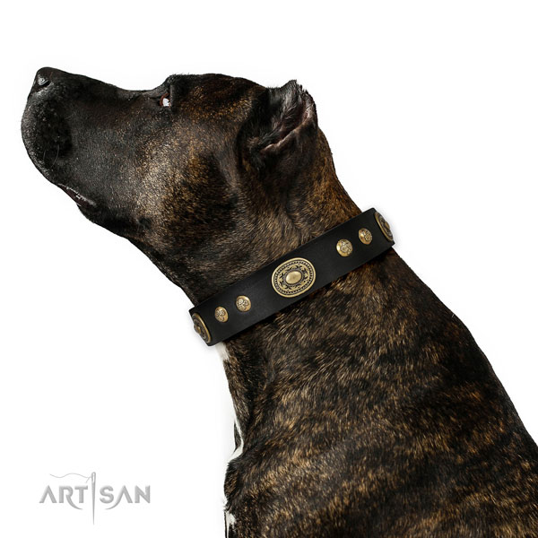 Zwart leer hondenhalsband voor Amstaff