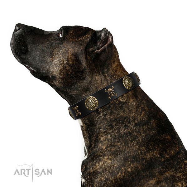 Amstaff hondenhalsband leer met studs