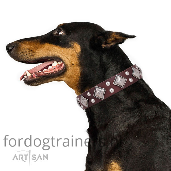 Doberman draagt onze bruine hondenhalsband
