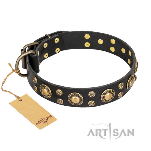 Lederen Honden Halsband Artisan