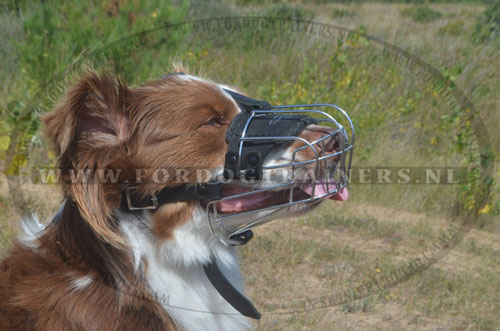 Geweldige muilkorf voor comfort uw hond!