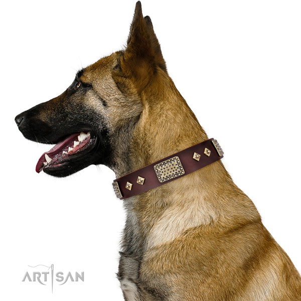 Belgische herder hondenhalsband leer met studs