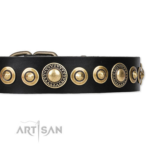Luxury hondenhalsband extra breed