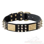 Honden Lederen Halsband - Oude Messing Massieve Platen en Spikes Honden Lederen Halsband - Oude Messing Massieve Platen en Spikes