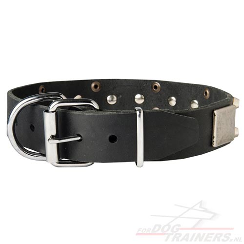 Lederen Honden Halsband Vernikkelde Hardware