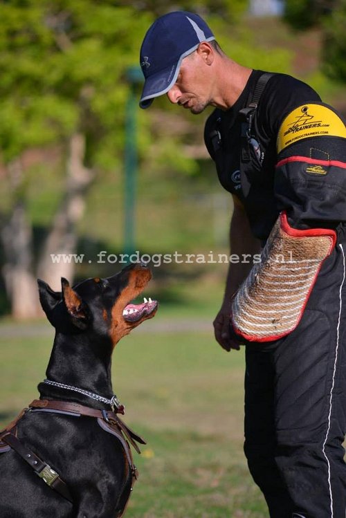 Training
Bijtmouw voor Honden