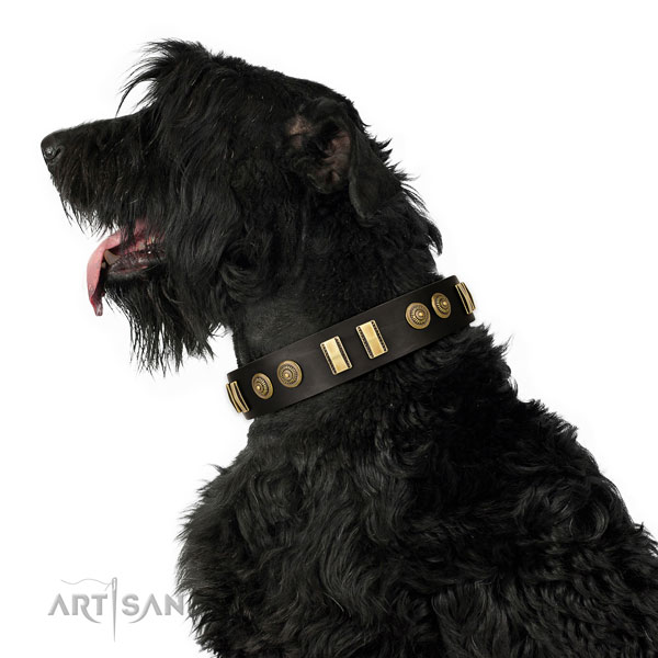 Black Russian Terrier in zwarte lederen hondenhalsband