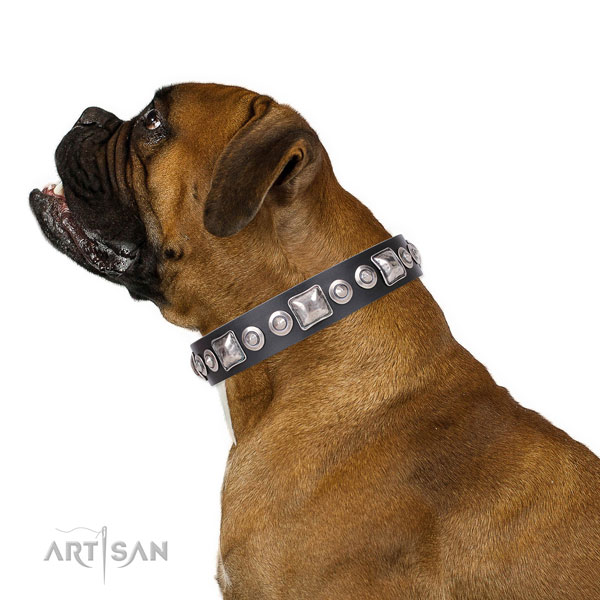 Boxer in lederen hondenhalsband