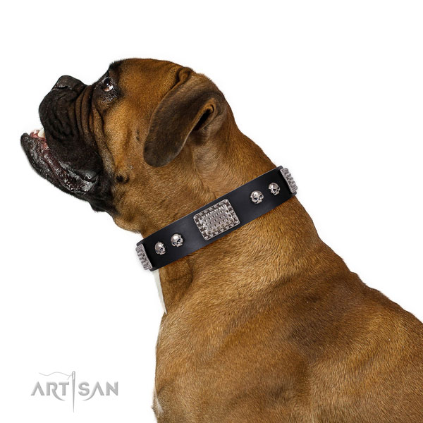 Boxer in lederen hondenhalsband