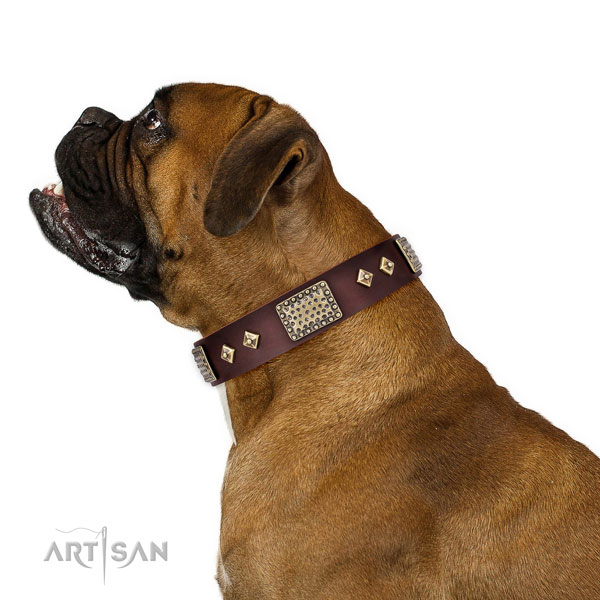 Bruin leer versierde halsband hond