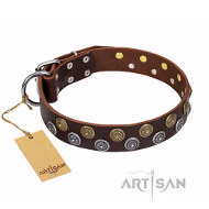 Charmante Bruine hondenhalsband leer met studs FDT Artisan