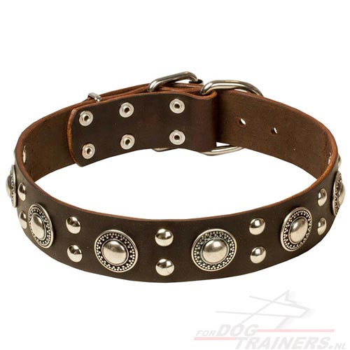 Gesp Lederen Honden Halsband Bruine Kleur