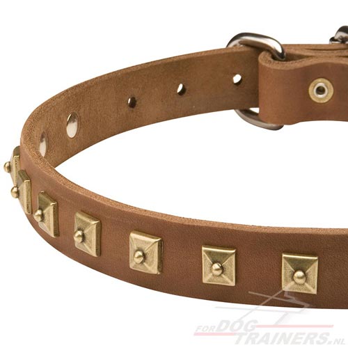 Betrouwnare Leren Halsband