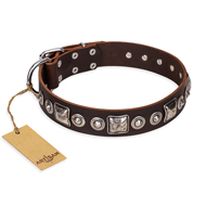 Elegante lederen hondenhalsband met studs