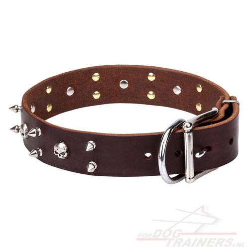 Super Sterke Lederen Honden Halsband met Roestvrije
Hardware