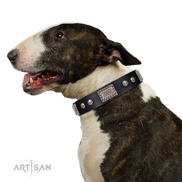 Bull Terrier hondenhalsband leer met studs