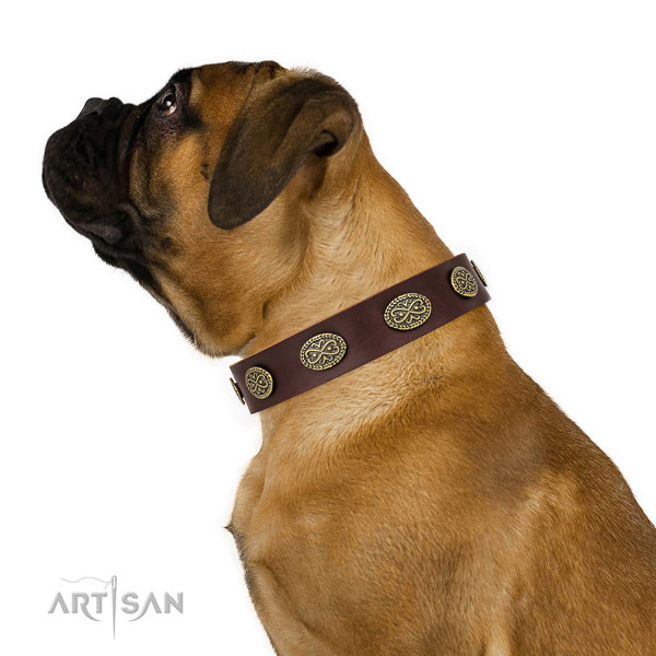 Bullmastiff brede mooie hondenhalsband