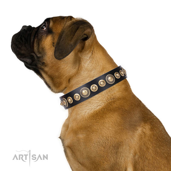 Bullmastiff in lederen hondenhalsband