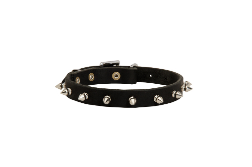 Lederen halsband met pieken, voor kleine en middel hondenrassen Lederen halsband met pieken, voor kleine en middel hondenrassen