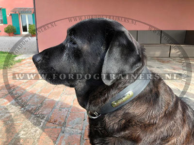 Lederen Honden Halsband met ID Tag voor Labrador