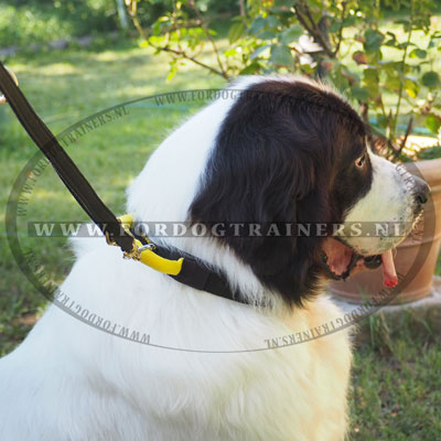 Praktische halsband van nylon, Fordogtrainers