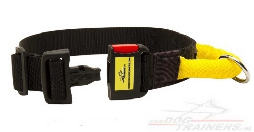 Handige nylon
hondenhalsband, training en wandeling