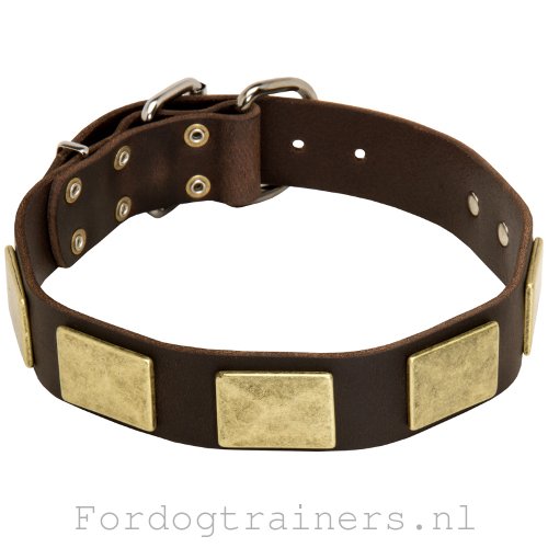 Leren halsband in militaire stijl,versierd met roestvrije platen - Klik op de afbeelding om het venster te sluiten