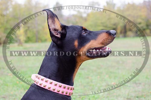 Exclusieve roze lederen Dobermann halsband met messing studs