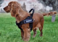 Hondentuigje Spaniel [H17##1106 Nylon Honden Tuig SAR]