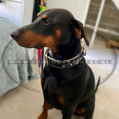 Gewatteerde leren halsband met exclusief decor voor Doberman