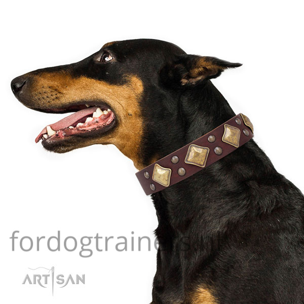Doberman draagt onze zwarte hondenhalsband