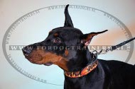 Design Leren Halsband voor Dobermann