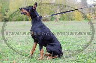 Nylon Halsband met sterke gesp voor Dobermann